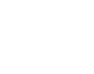 plan-digital-now-logo-white